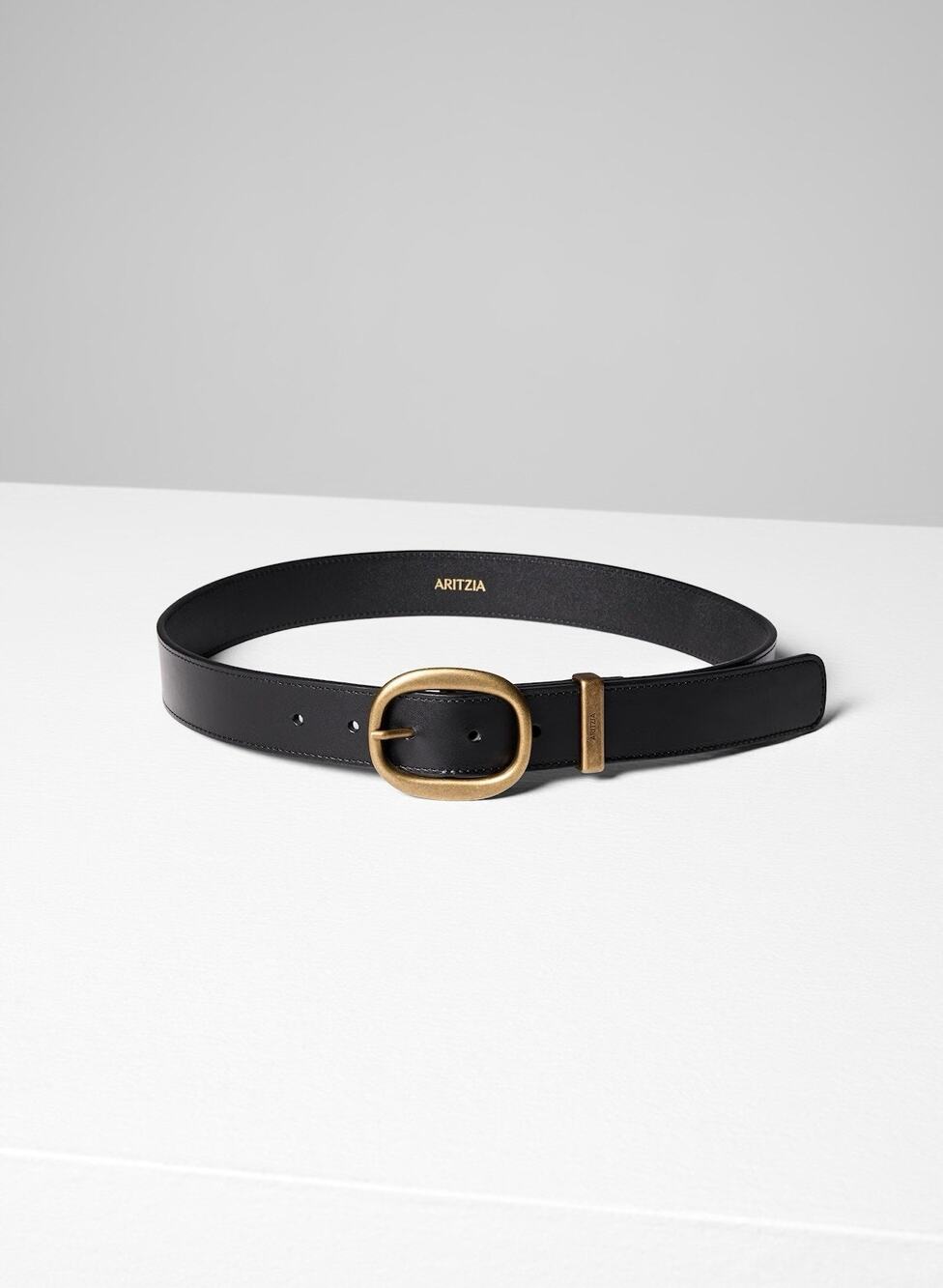 Aritzia Lifetime Brass Lifetime Leather Belt Dark Black Gold L